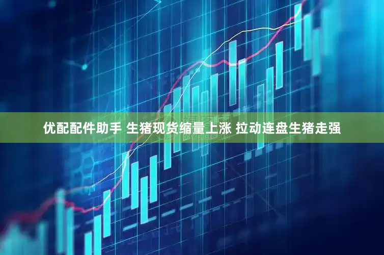优配配件助手 生猪现货缩量上涨 拉动连盘生猪走强