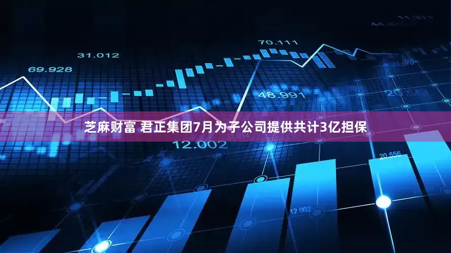 芝麻财富 君正集团7月为子公司提供共计3亿担保